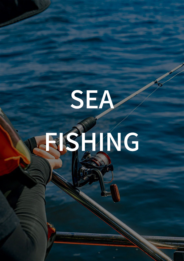 Sea Fishing