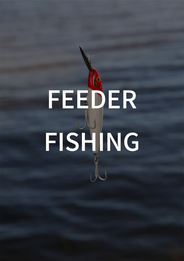 Feeder Fishing