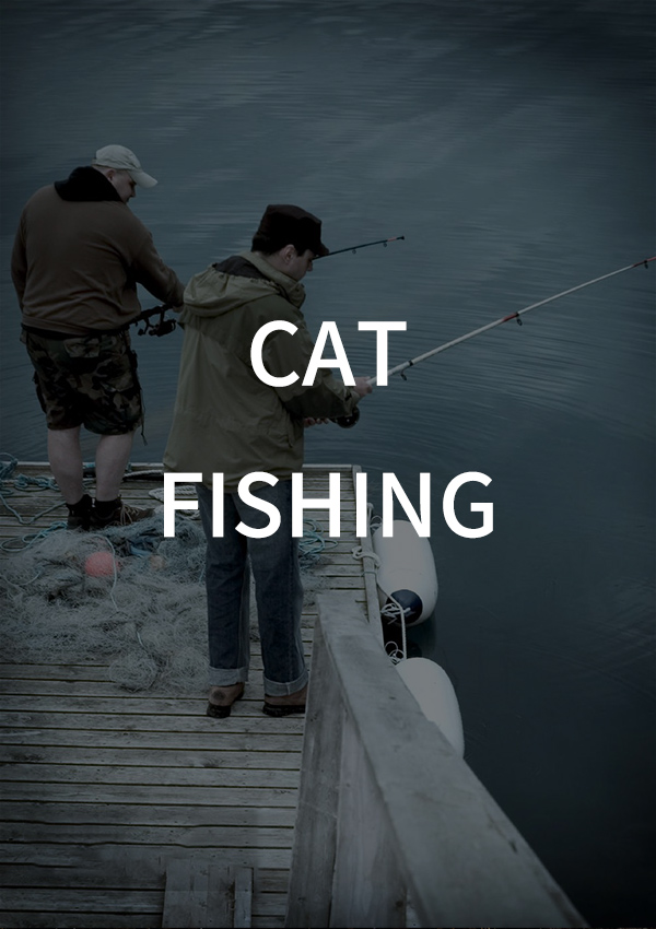Catfish Fishing