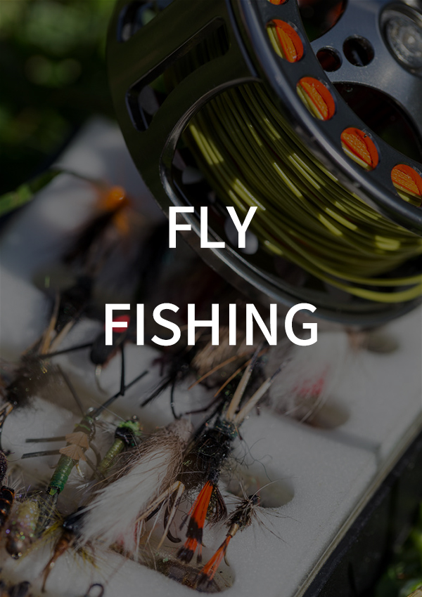 Fly Fishing