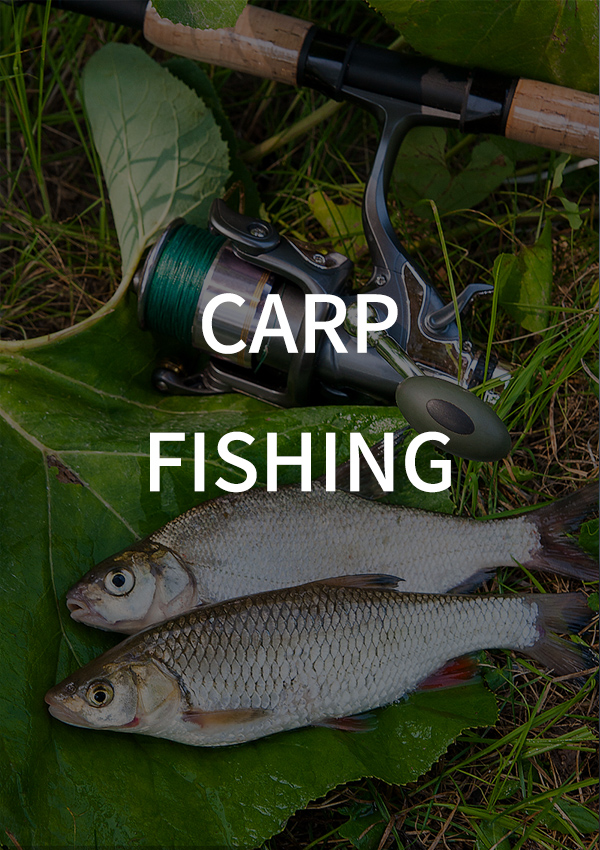 Carp Fishing