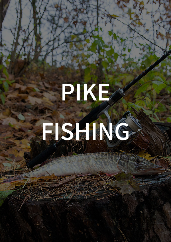 Pike Fishing